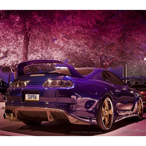 Supra photography T-shirt